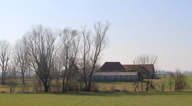 Pension canine et féline de Loudenka  Saint Pont Auvergne